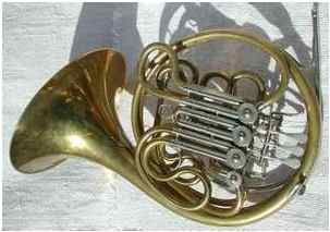 A Berg horn